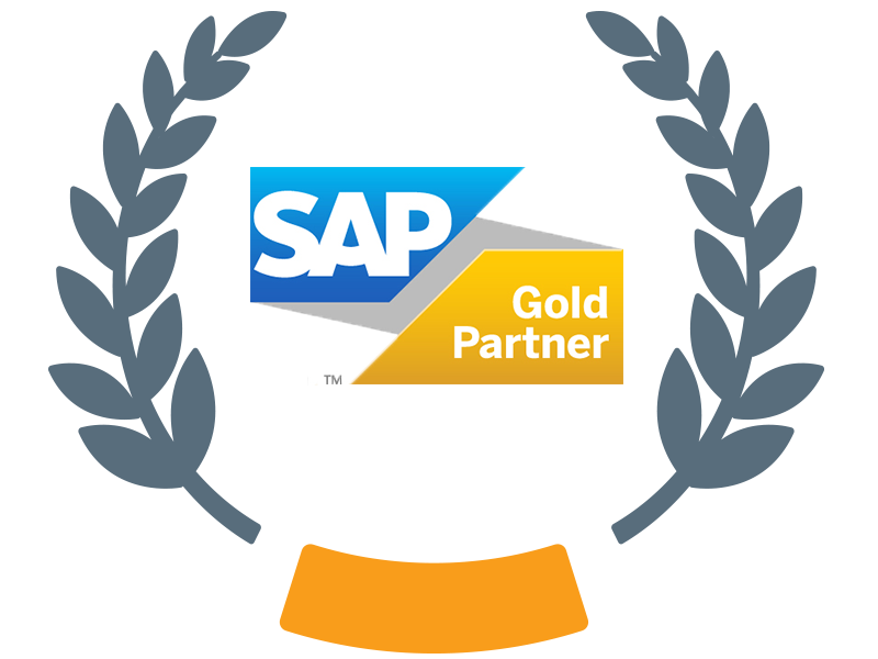 SAP Ariba MEE Partner of the Year Pt. 2   Goldpartner